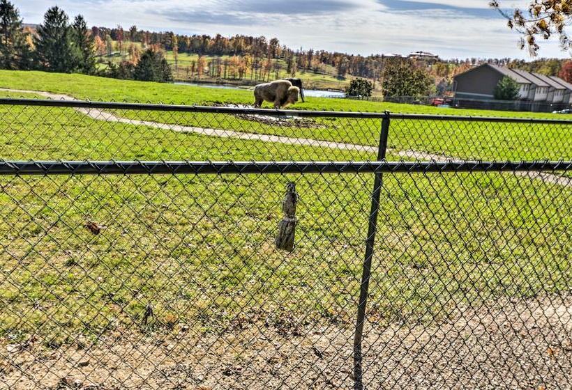 Farmington A Frame W/ Lake Access & Fire Pit!