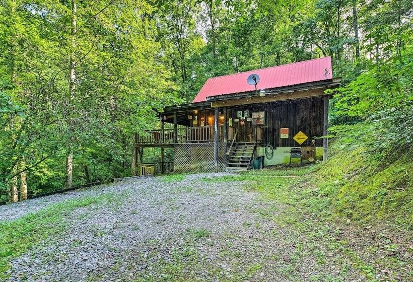 Tellico Plains Cabin   25 Acres, Backyard Creek!