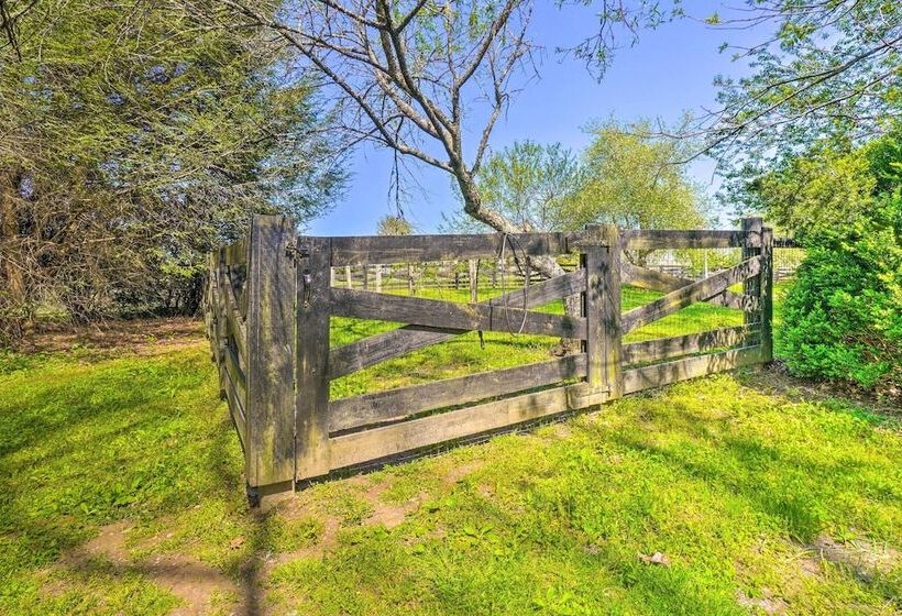 Dreamy Homestead Escape: Patio, Ranch On Site