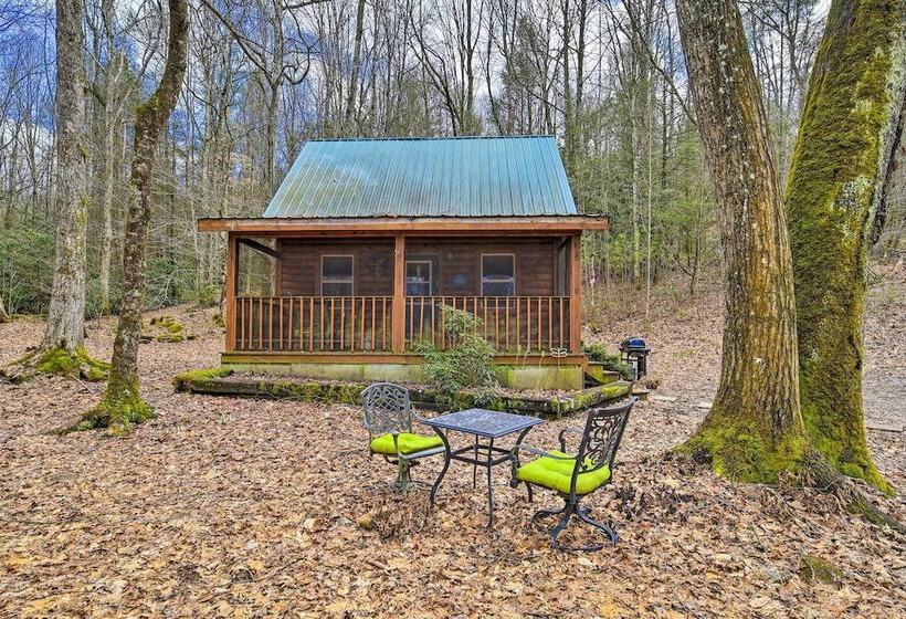 Peaceful Mountain City Cabin W/ Porch & Fire Pit