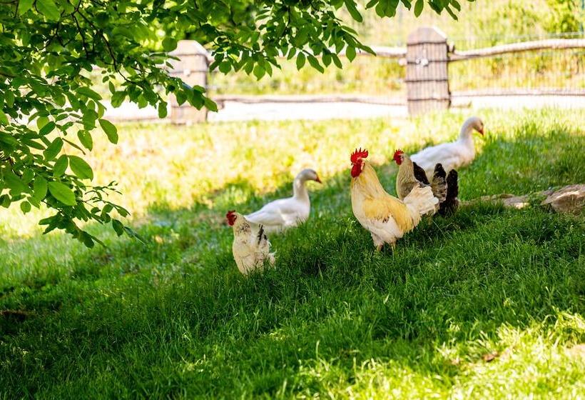 مبيت وإفطار Ferienhof Domäne Groschwitz