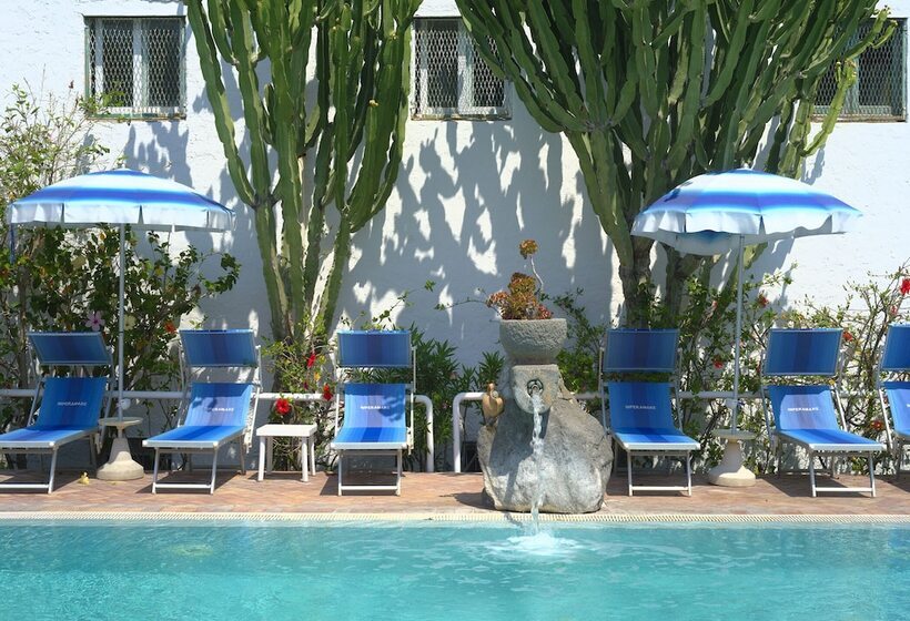 Room In B&b   Ischia Forio, Wellness At Hotel Imperamare, 1 Double Sea View