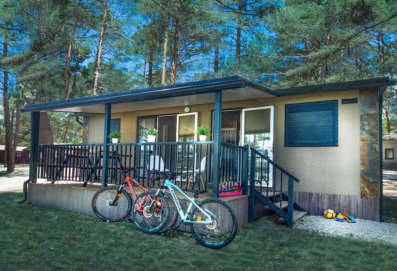 בית מלון כפרי Camping Urbión