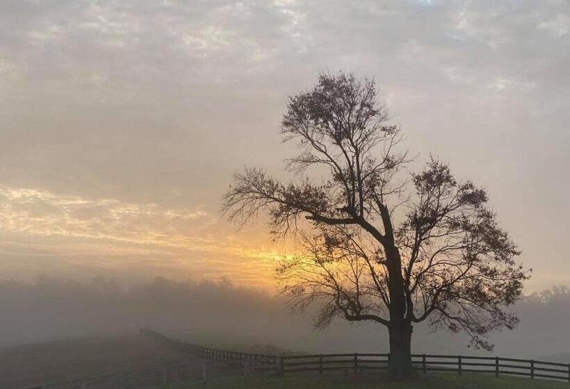 酒店 Shenandoah Wilderness Traveler