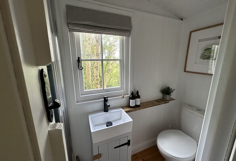 اقامتگاه Cornwall Woodland Dog Friendly Shepherd S Hut