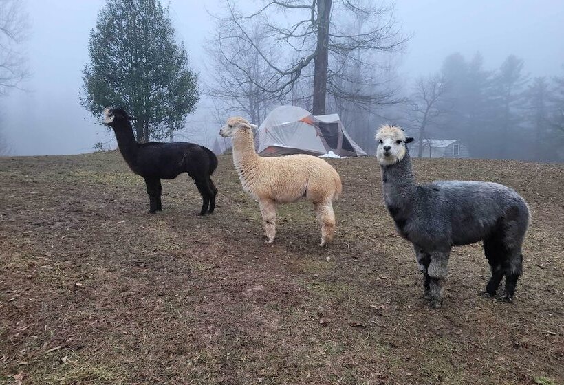 Rustic & Authentic Farm Stay By Dupont Forest!