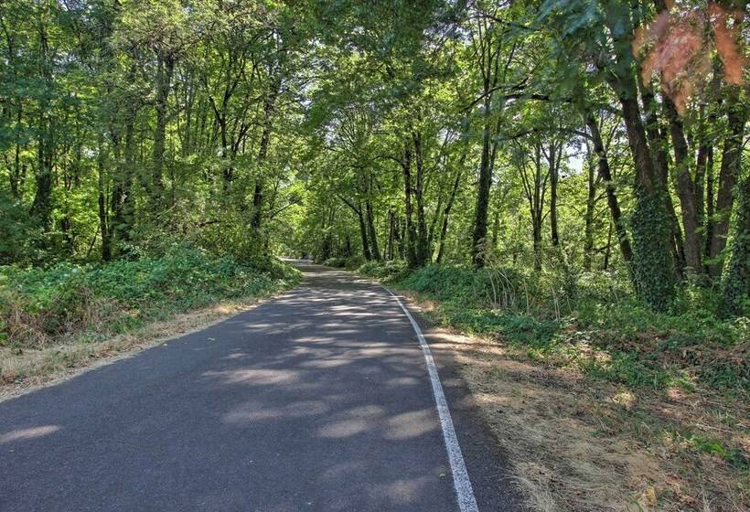 Pet Friendly Home W/ Grill, 2 Mi To Autzen Stadium