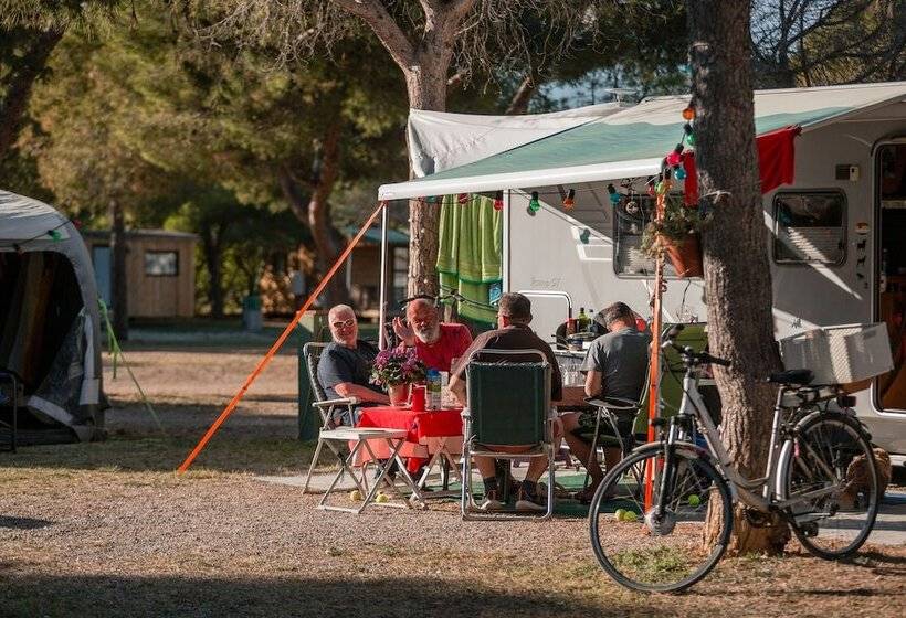 هتل Camping El Garrofer