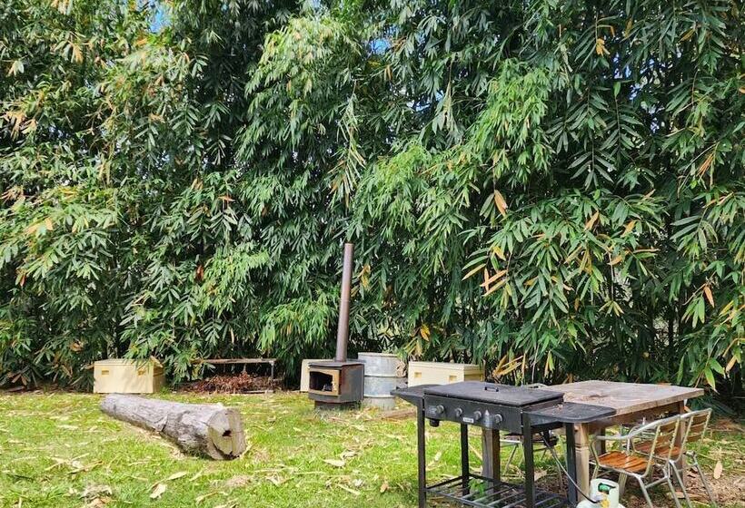 בית מלון כפרי Gold Coast Tree Houses