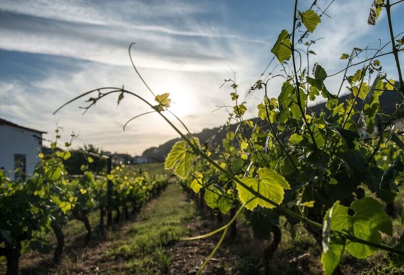 هتل Morgadio Da Calcada Douro Wine&tourism