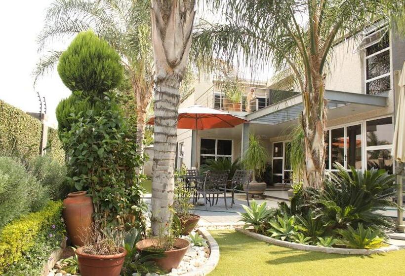 پانسیون Cycad Palm Boutique Guest House