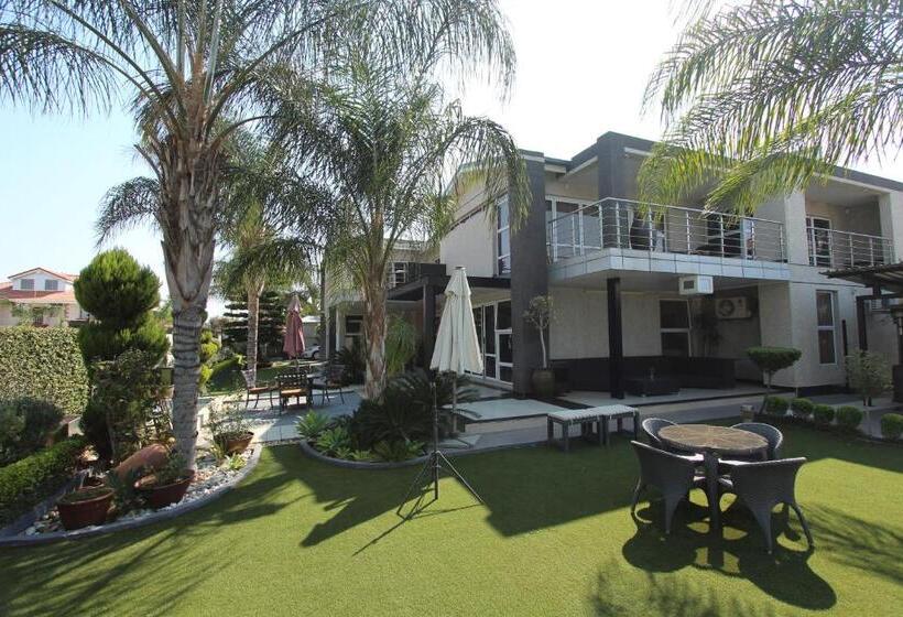پانسیون Cycad Palm Boutique Guest House