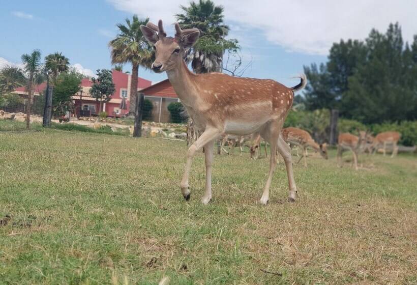 Quinta Das Origens