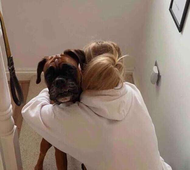 اقامتگاه Perfect Location, Dog Friendly Beautiful Home