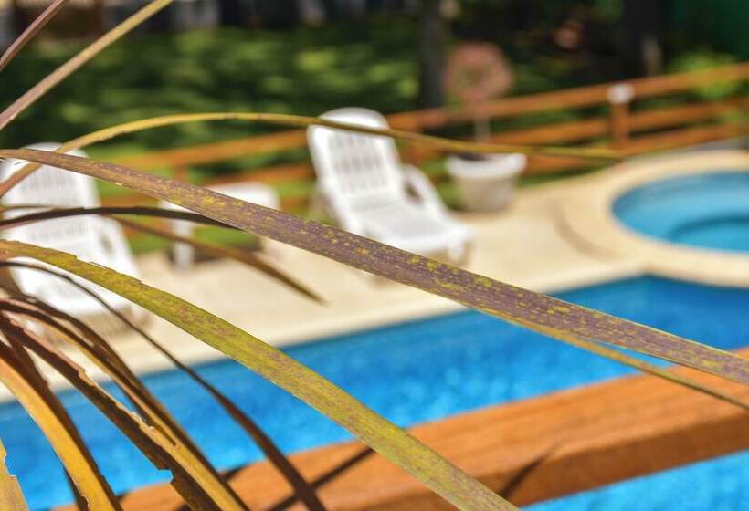 Suites Del Bosque