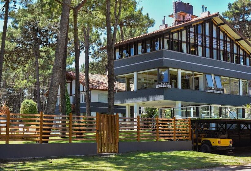 Suites Del Bosque
