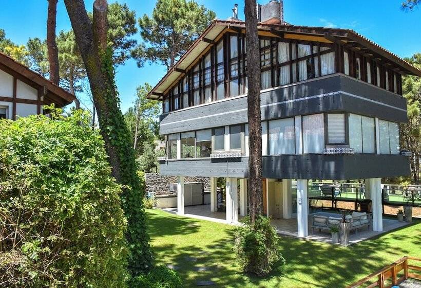 Suites Del Bosque