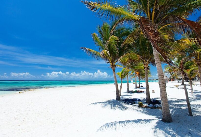 Fotos del hotel Akumal Natura Glamping:  14