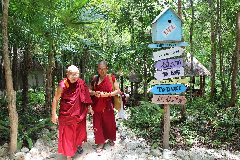 Fotos del hotel Akumal Natura Glamping:  10