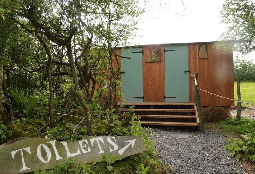 ホテル Ceridwen Glamping, Double Decker Bus And Yurts
