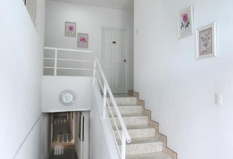 Fotos del hotel Real Colombia:  6