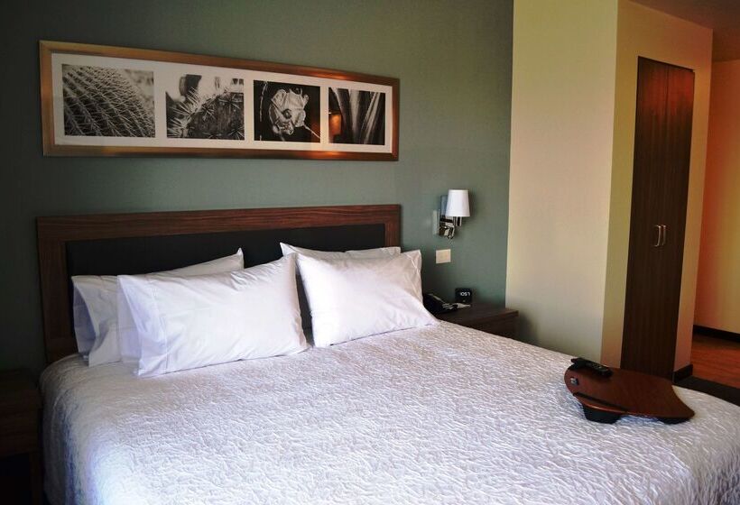 هتل Hampton Inn & Suites By Hilton Salamanca Bajio