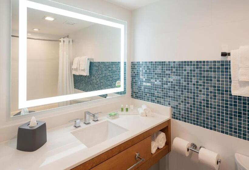 Fotos del hotel Holiday Inn Miami North I95, An Ihg:  21