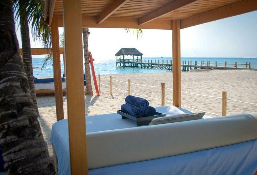 Fotos del hotel Residences at The Fives:  21