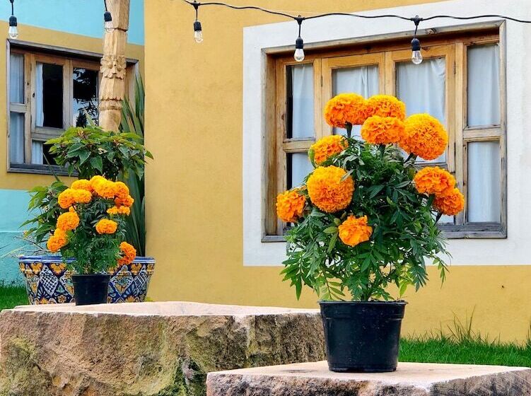 فندق Sandunga Cabañas Boutique