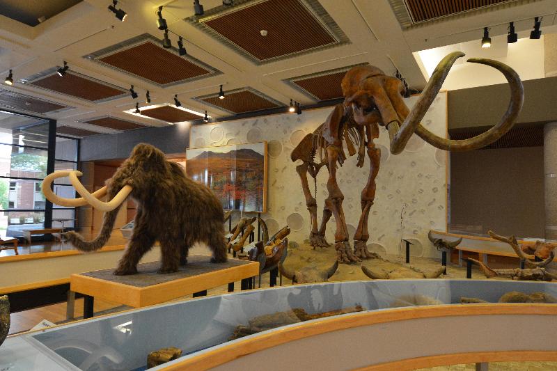 هتل Staybridge Suites Des Moines Downtown, An Ihg