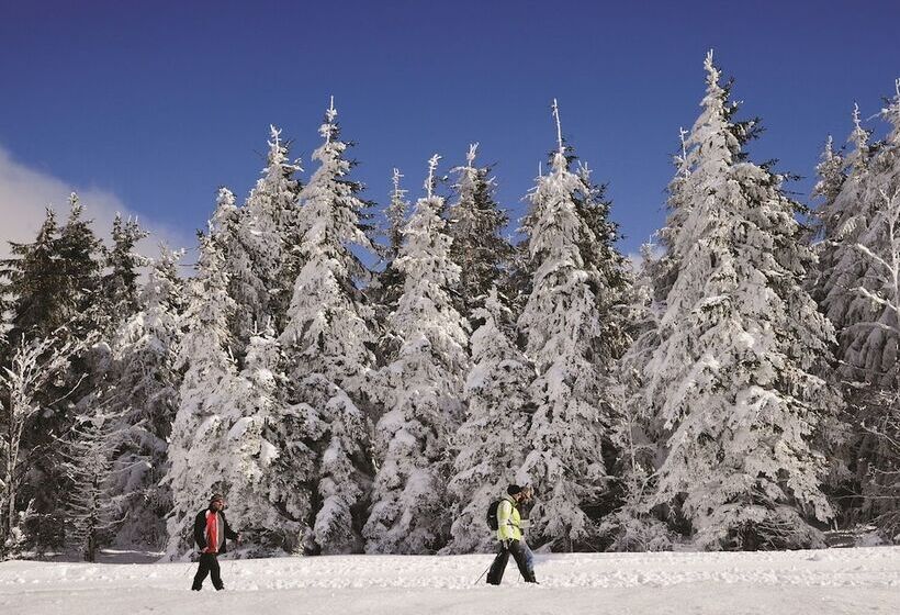 Nature Titisee