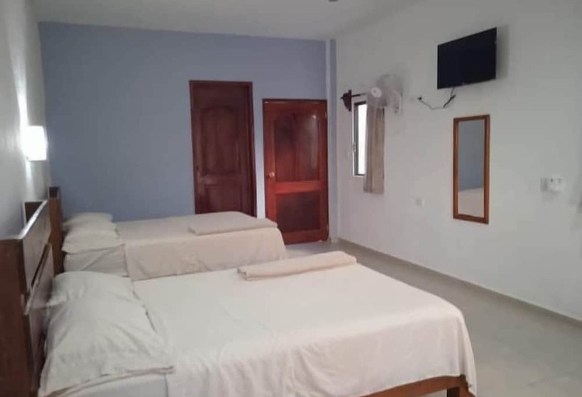Eco Hotel Shalom