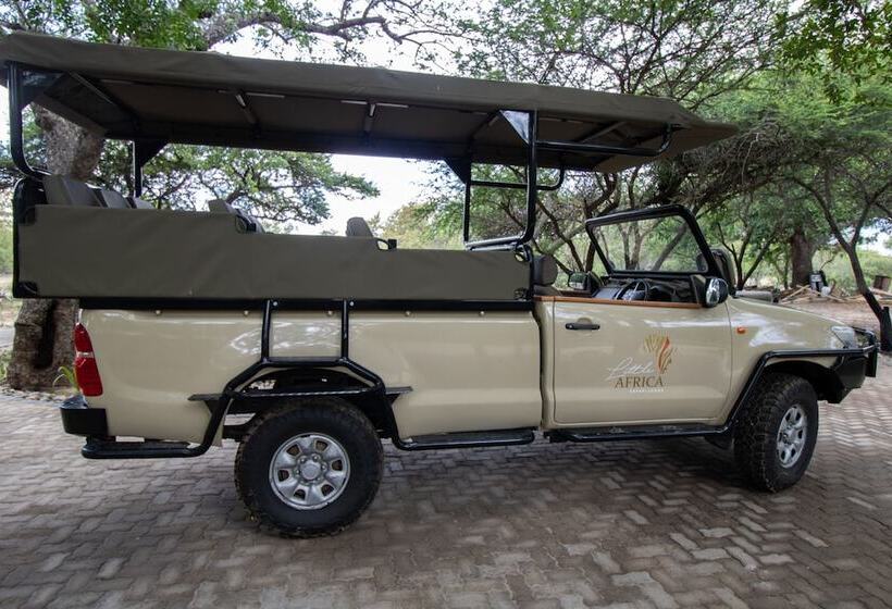 فندق Little Africa Safari Lodge