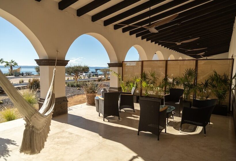 ホテル Orchid House Baja & Beach Club