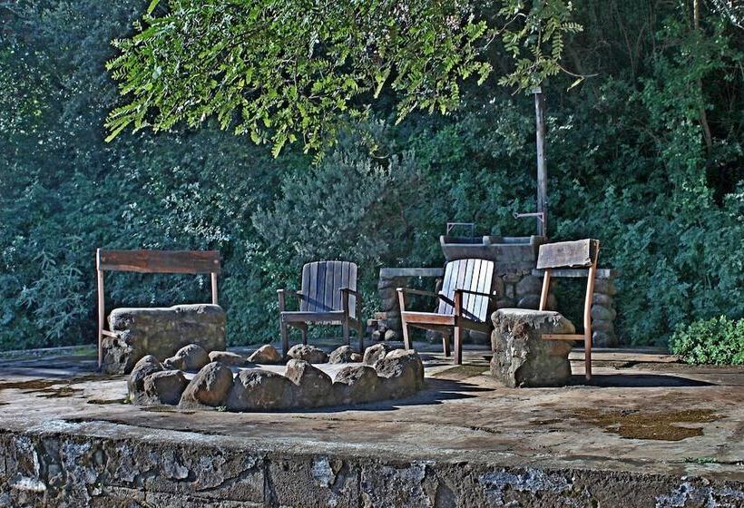 בית מלון כפרי Treks Trips And Trails