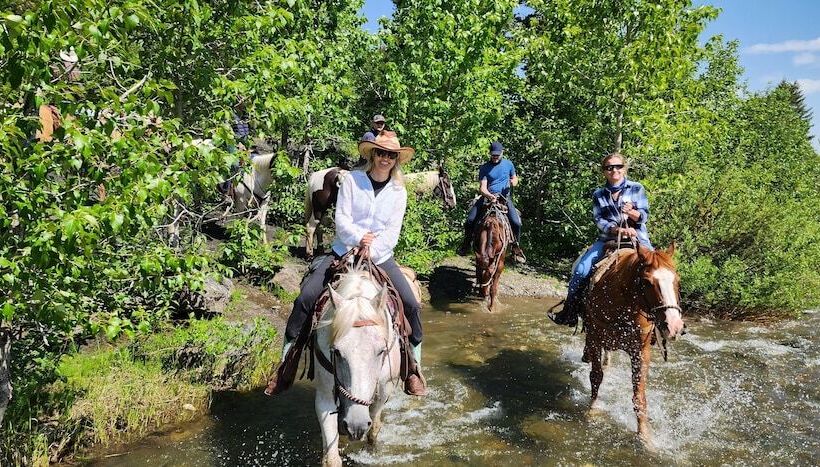 민박 Bear Creek Guest Ranch