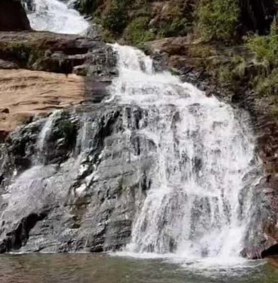 פונדק Pousada Sitio Das Flores
