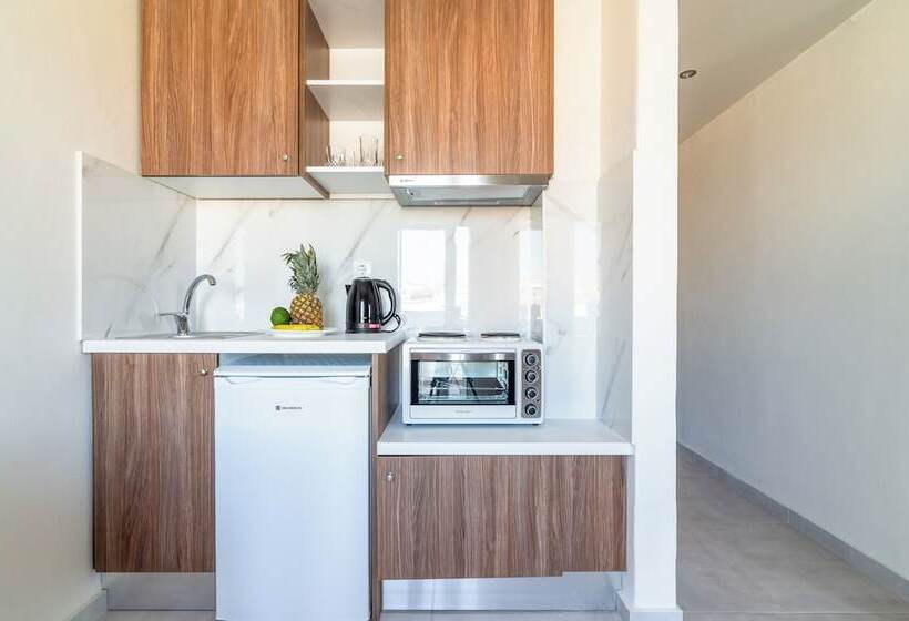 فندق Asterion Luxury Studios Airport