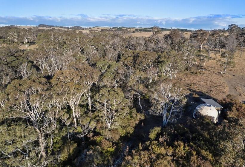 교외 호텔 Scribbly Farm Premium Dome Bush Retreat Southern Highlands