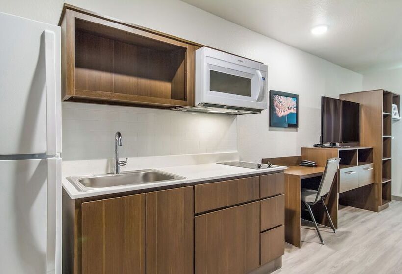 فندق Woodspring Suites East Lansing   University Area