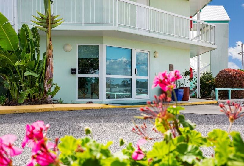 מוטל Reef Adventureland Motor Inn
