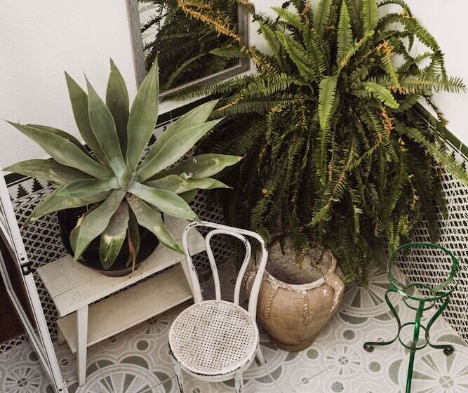 تختخواب و صبحانه Encanto Guesthouse