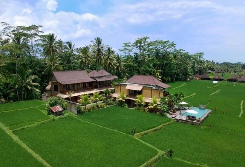 住宿加早餐  Intan Villa & Suite Ubud