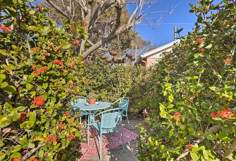 Yard & Hot Tub: Historic Lake Worth Cottage!