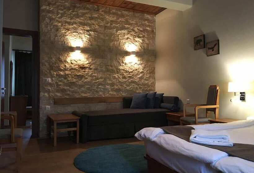 酒店 Naoussa Mountain Resort