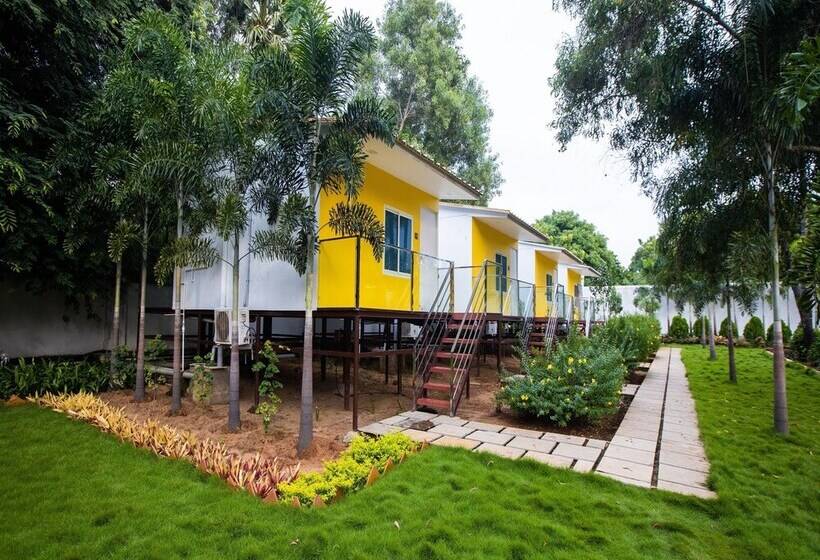 Отель Nathan Resort