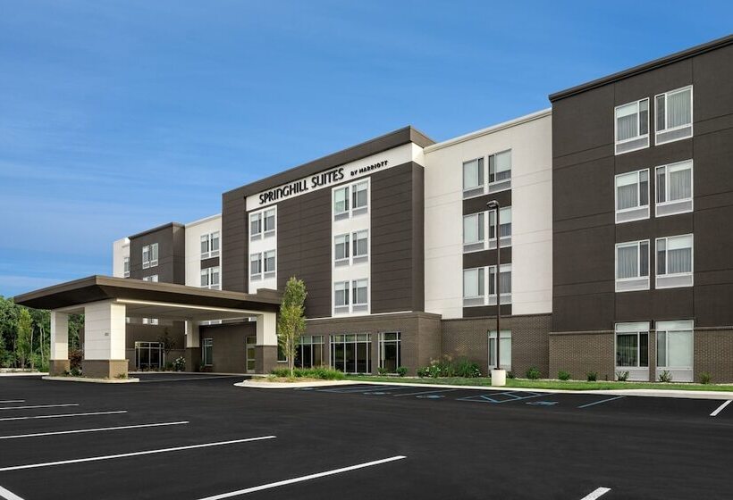 هتل Springhill Suites By Marriott Kalamazoo Portage