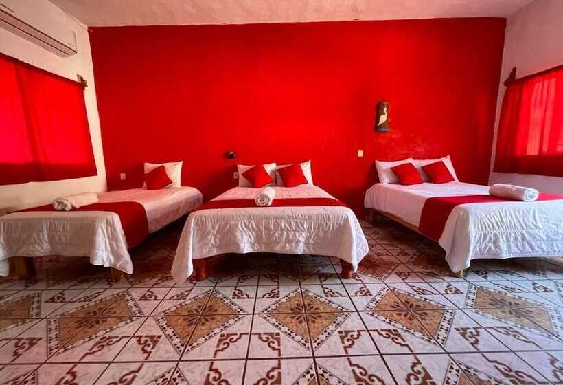 فندق Y Bungalows Bugambilias