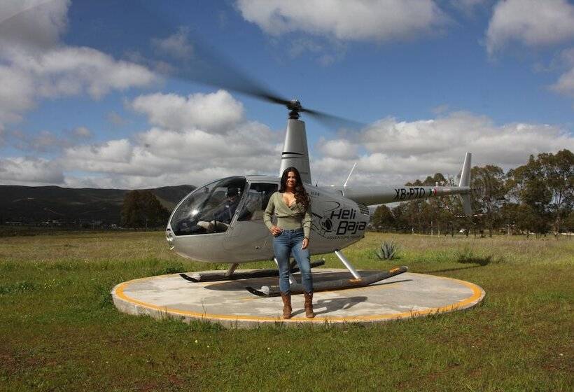 منتجع Ally Glamping