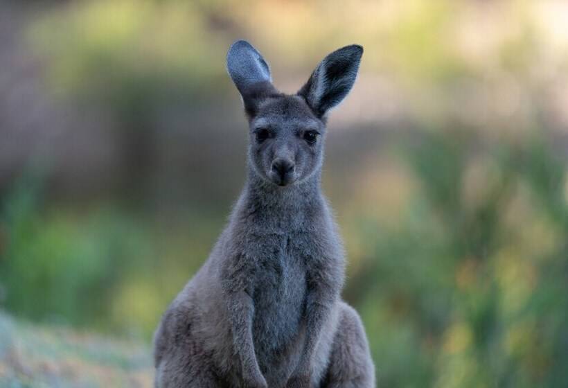 אתר נופש Noble River Estate